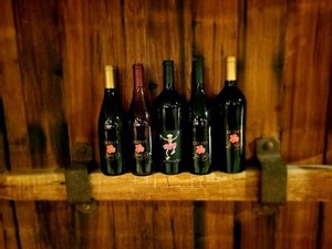 Tasting Room Entrance_Cave Doors with Bottles