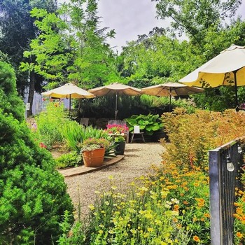 Circular Garden with Umbrellas